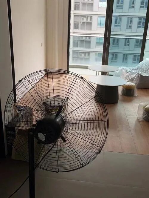 微信圖片_2026-04-17_154139_324.jpg